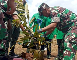 Antisipasi Perubahan Iklim, Divif 3 Kostrad Manfaatkan Ribuan Lahan untuk Menanam Pohon