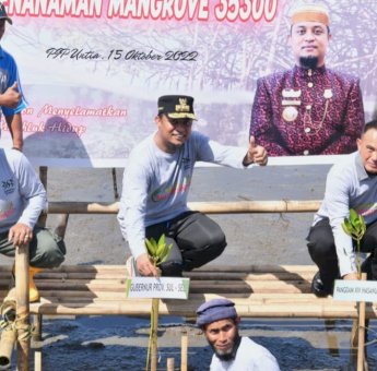 Di Era Gubernur Andi Sudirman, Masif Dilakukan Penanaman Mangrove di Wilayah Pesisir Sulsel