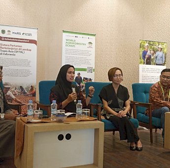 Pemkab Lutra Bersama ICRAF Susun Konsep Pengembangan Peta Jalan Kakao Berkelanjutan