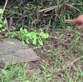 Mahasiswi di Gowa Dirampok dan Diperkosa Saat Pulang Kuliah, HP dan Uang Pembayaran Kuliah Raib