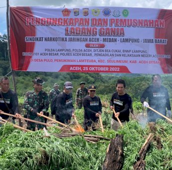 Polisi Musnahkan 12 Ton Ganja Dari Jaringan Lintas Provinsi Aceh – Lampung – Jawa Barat