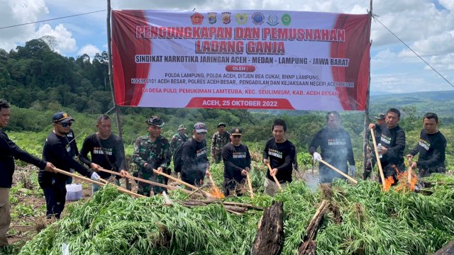 Pemusnahan Barang Bukti 12 Ton Ganja oleh Dirresnarkoba Polda Lampung, Selasa (25/10/2022). (Istimewa)