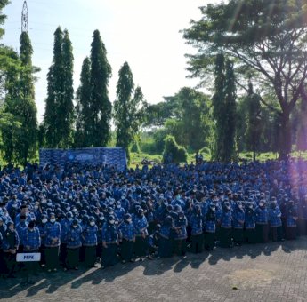 Siap-Siap, November Rekruitmen PPPK Provinsi Sulsel