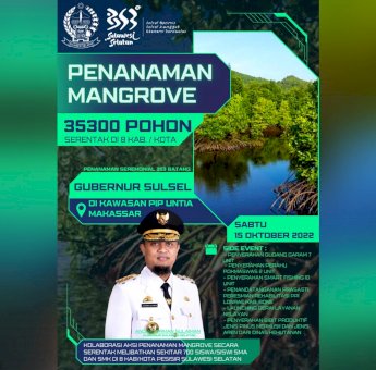 Besok, Gubernur Andi Sudirman Pimpin Penanaman 35.300 Pohon Mangrove