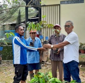 Anggota DPRD Palopo, Jabir Salurkan 1.500 Bibit Tanaman Durian di Kecamatan Mungkajang
