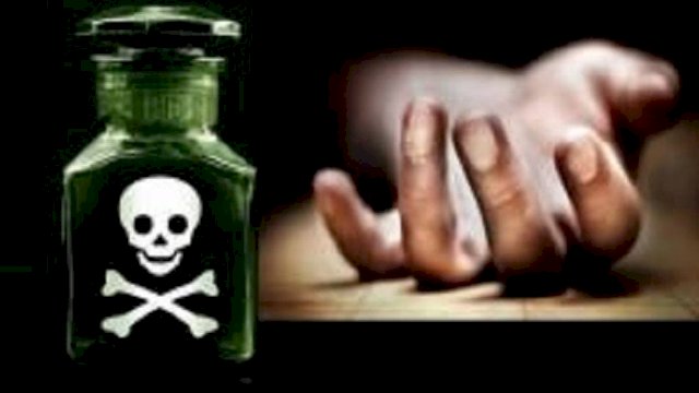 Ilustrasi Meninggal karena Minum Racun Tikut. (Istimewa)