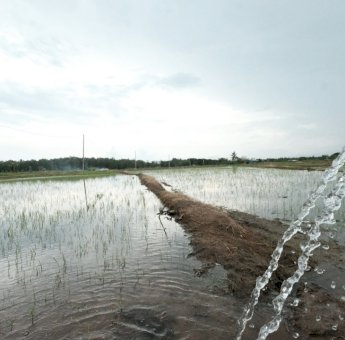 Semakin Masif, 27 Desa di Bone dan Wajo Gunakan Program Electrifying Agriculture PLN