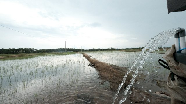 Semakin Masif, 27 Desa di Bone dan Wajo Gunakan Program Electrifying Agriculture PLN