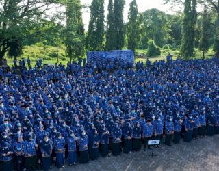 Pemprov Sulsel Siapkan Lebih 10 Ribu Kuota PPPK 2022