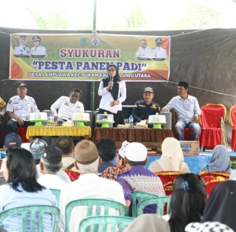 Hasil Panen Padi Capai Rp15 Miliar, Warga Desa Lampuawa Luwu Utara Gelar Syukuran