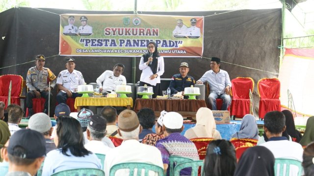Bupati Luwu Utara Indah Putri Indriani saat menghadiri pesta panen di Desa Lampuawa Luwu Utara. Rabu (16/11/2022)
