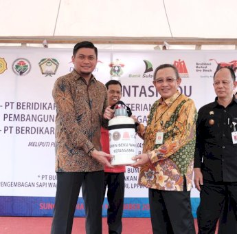 Kabupaten Gowa Jadi Daerah Pertama Pengembangan Peternakan Sapi Wagyu