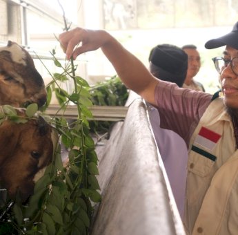 YBM PLN UID Sulselrabar Resmikan Peternakan Kambing “Pammanjengan Ri Boritta” di Desa Bonto Kassi Gowa