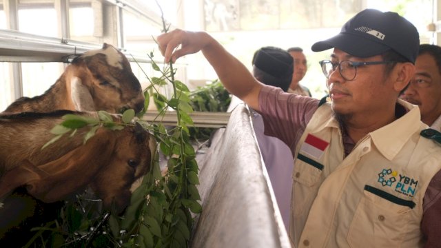 YBM PLN UID Sulselrabar Resmikan Peternakan Kambing &#8220;Pammanjengan Ri Boritta&#8221; di Desa Bonto Kassi Gowa