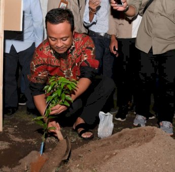 Kembalikan Kejayaan Jeruk Selayar, Gubernur Andi Sudirman Tanam Bibit Jeruk Keprok yang ke-100 Ribu
