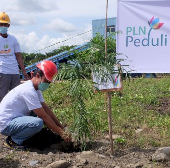 1,47 Juta Pohon dari PLN, Untuk Membangun Harapan Masa Depan