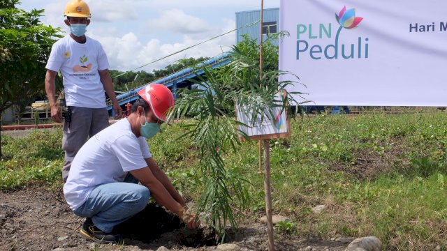 Gerakan menanam pohon yang secara rutin di lakukan PT PLN (Persero) diberbagai wilayah unit kerjanya adalah upaya dalam mewujudkan lingkungan bersih, aman dan ramah bagi kelanjutan masa depan. (Dok. Humas PLN UIP Sulawesi)