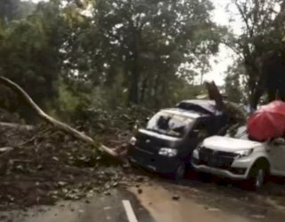 Longsor di Malino, Dinas PUTR Sulsel: Segera Lakukan Penanganan Darurat Pembukaan Akses