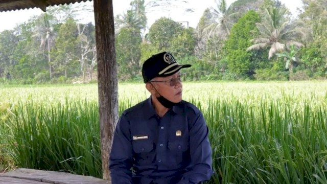 Wakil Ketua DPRD Kaltim Muhammad Samsun, saat berkunjung ke kawasan persawahan di Tenggarong Seberang, Kabupaten Kutai Kartanegara. (Istimewa)