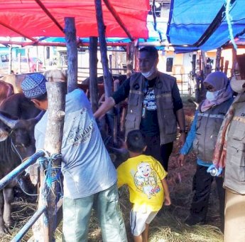 <strong>Dinas PKP Parepare Pastikan Kelayakan Hewan Ternak untuk Kurban</strong>