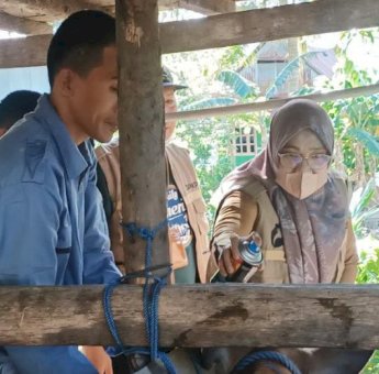 Pastikan Nol Kasus PMK, Dinas PKP Parepare Intensif Pantau dan Vaksin Ternak