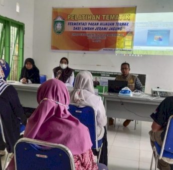 Dinas PKP Parepare Dorong Pemanfaatan Limbah Jerami Jagung Jadi Pakan Hijau Ternak