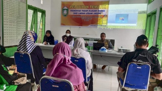 Dinas PKP Parepare Dorong Pemanfaatan Limbah Jerami Jagung Jadi Pakan Hijau Ternak