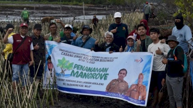 Kegiatan Penanaman 40.000 Bibit Pohon Mangrove di Kelurahan Akkajeng, Kabupaten Wajo, Senin (12/12/2022). (Istimewa)