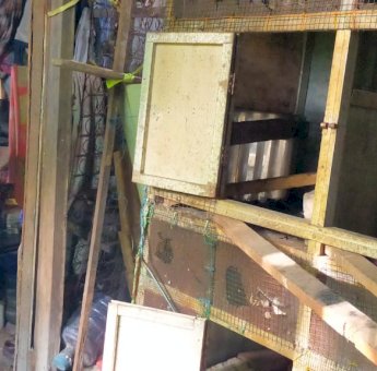 Miris! Kakek Lansia di Gowa Hidup Serumah Dengan Ayam, Kadang Makan Lauk Garam dan Minum Air Sumur