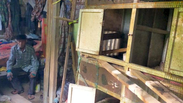 Kondisi Rumah Paeba' Dg Nai lansia berumur (81) warga Kampung Beru, Dusun Bonto Ramba, Desa Panciro, Kabupaten Gowa, yang hidup serumah dengan kandang dan ayamnya. (Istimewa)