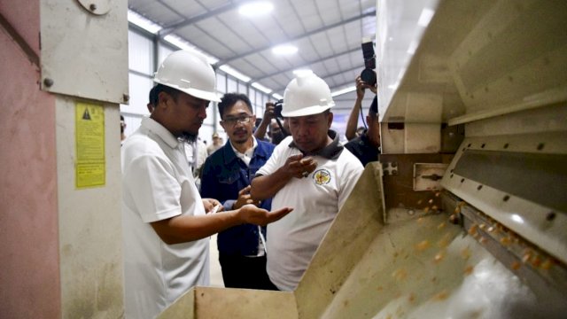 Gubernur Sulsel Andi Sudirman Sulaiman, meninjau proses pemilihan biji jagung Andalan untuk dijadikan Benis saat meresmikan Pabrik Benih Jagung, di Kabupaten Maros, Sabtu (24/12/2022). (Istimewa)