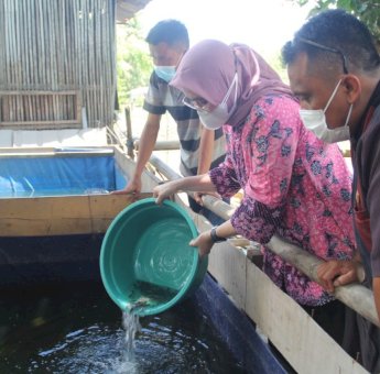 Wawali Apresiasi DPRD dan Dinas PKP Parepare Gairahkan Ekonomi Masyarakat Lewat Budidaya Ikan Lele