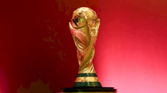 Piala Dunia. (Istimewa)