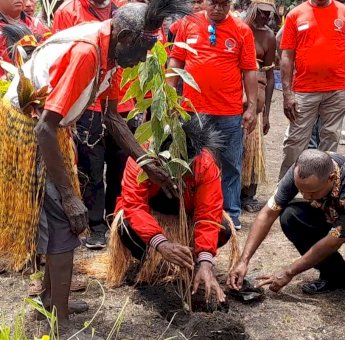 HUT Megawati ke-76, Kader PDIP Papua Selatan Giat Tanam Pohon di PLBN Sota Merauke