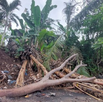 Abrasi Pantai Ancam Permukiman Warga Desa Lamawalang Flores Timur