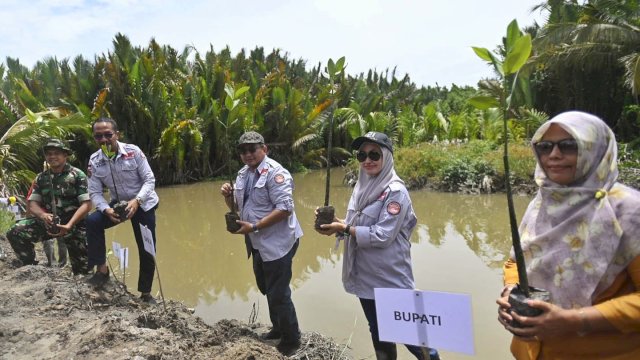 Bupati Luwu Utara Indah Putri Indriani, Anggota DPR RI Fraksi Golkar Muhammad Fauzi, Ketua DPRD Luwu Utara Basir ikut tanam mangrove di Desa Pattimang Kecamatan Malangke. Sabtu (04/02/2024)