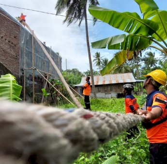 BPBD Selayar Tangani 7 Laporan Kejadian Akibat Badai Angi Kencang