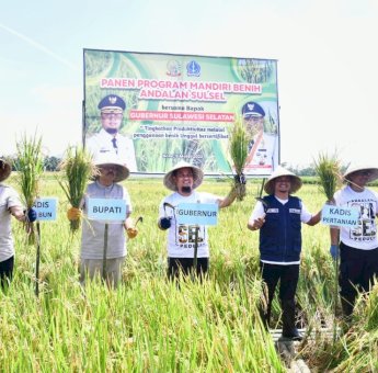Disupport Mandiri Benih Andalan Sulsel, Panen di Desa Palakka Bone Meningkat 6 Ton Per Hektar