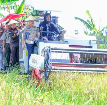 Panen Raya, Bupati Jeneponto Iksan Iskandar : Stok Beras Aman Terkendali