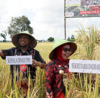 Siapkan Lahan 3.004 Ha, Gowa Target 18.024 Ton Padi di Panen Nusantara