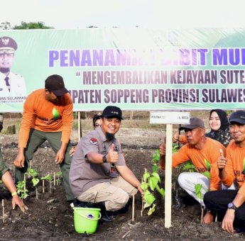 Kembalikan Kejayaan Sutera Soppeng, Andi Sudirman Tanam 1,5 Juta Bibit Murbei di Patampanua