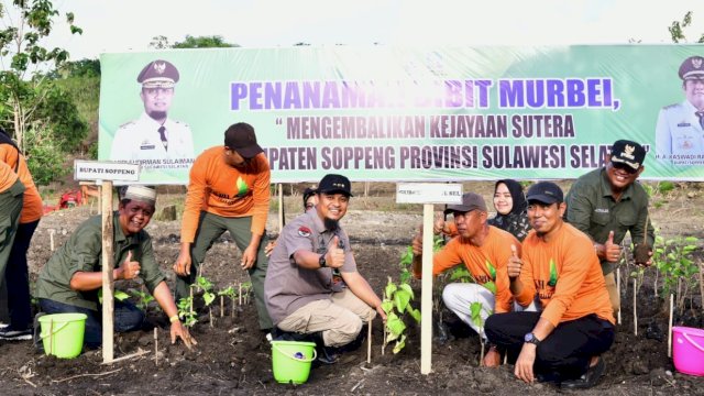 Gubernur Sulsel Andi Sudirman Sulaiman, melakukan penanaman secara simbolis bibi pohon Murbei di Kabupaten Soppeng, Senin (20/03/2023). (Istimewa)