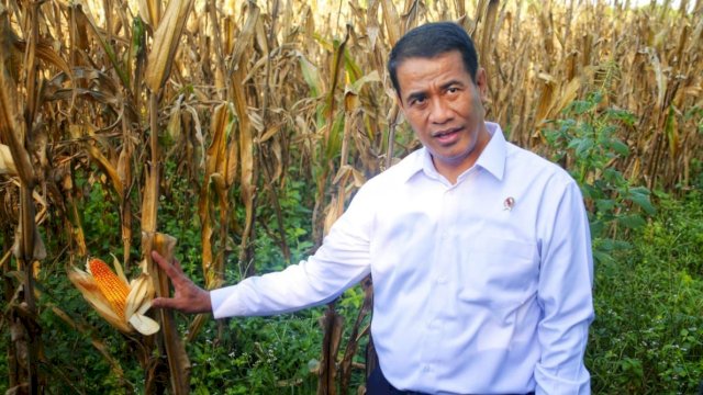 Menteri Pertanian RI Tahun 2014-2019, Andi Amran Sulaiman. (Istimewa)