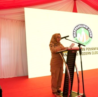 Pemkab Gowa Manfaatkan Sistem Kemitraan Dalam Pengembangan Peternakan Ayam Broiler