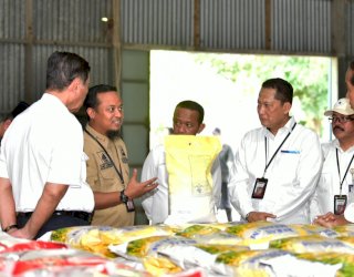 Tinjau Gudang Bulog, Presiden Jokowi: Beras Sulsel Banyak Diserap Provinsi Lain