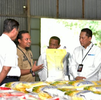 Tinjau Gudang Bulog, Presiden Jokowi: Beras Sulsel Banyak Diserap Provinsi Lain