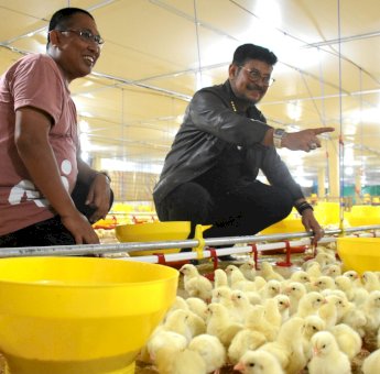Jadi Salah Satu Terbesar di Indonesia, Peternakan Ayam Milik Farouk M Betta Diresmikan Menteri Pertanian SYL