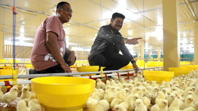 Menteri Pertanian RI Syahrul Yasin Limpo (SYL) bersama Farouk M Betta saat meninjau Peternakan Ayam Mappaseling Farm, di Manuju Kabupaten Gowa, Rabu (22/03/2023). (Istimewa)