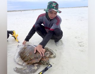 Ciptakan Habitat Penyu yang Sehat, FIKP Unhas Lakukan Penelitian di Perairan Kepulauan Balabalakang