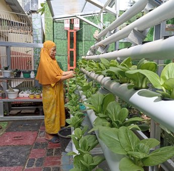 Program Kelompok Wanita Tani, Bantu Ciptakan Kemandirian Pangan di Lorong Wisata Makassar